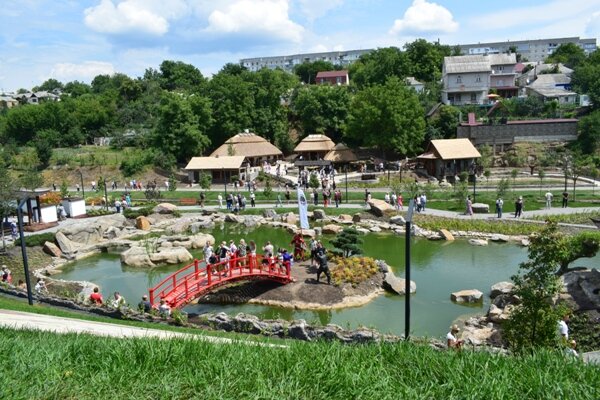 У «Новій Софіївці» з будиночка-бібліотеки масово крадуть книги